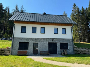 Apartmán U lesa